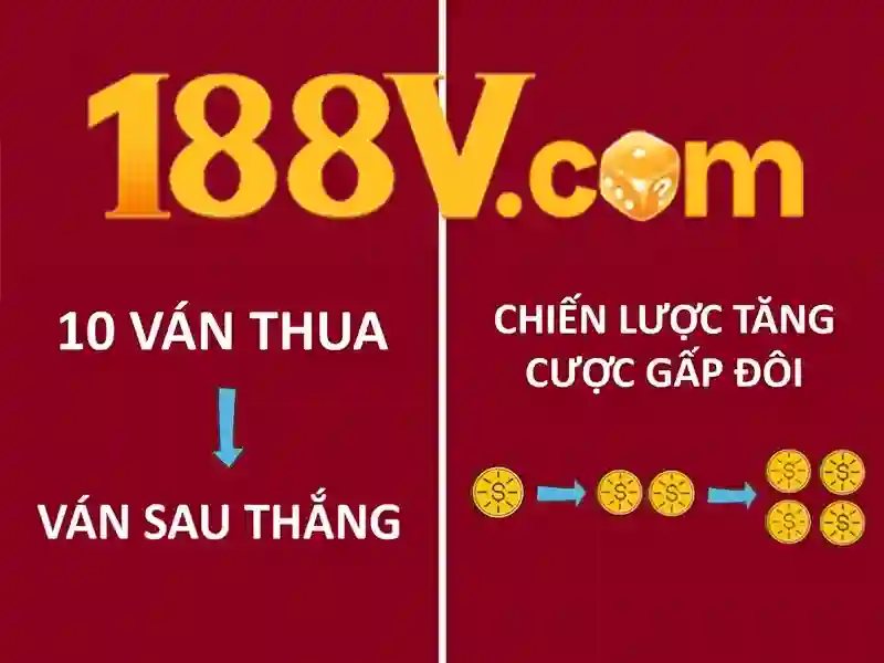 Chuyển động dữ liệu và an toàn