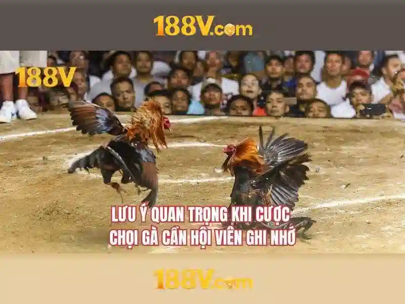 Khám phá năng lượng 188v