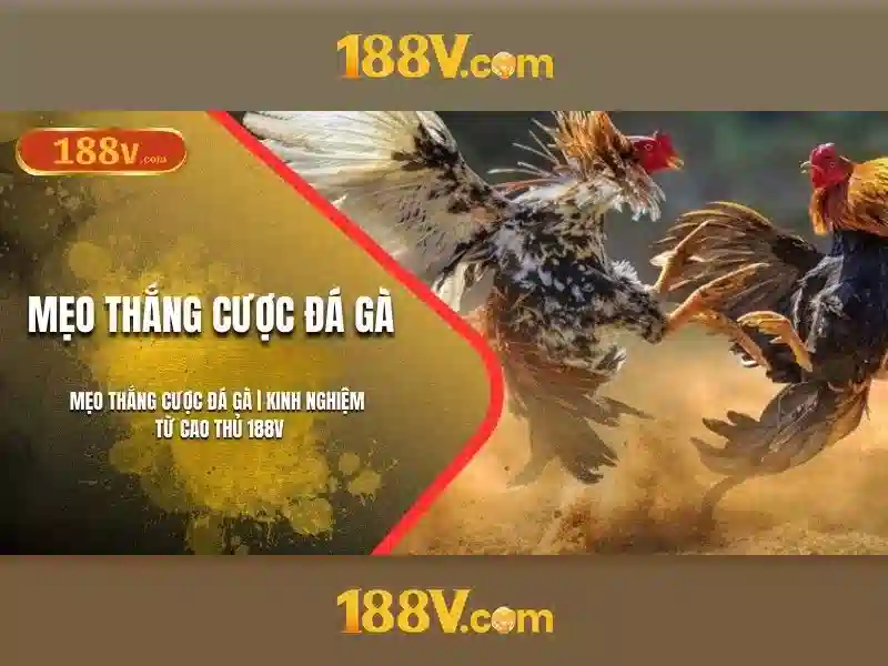 Khởi nguồn của 188v