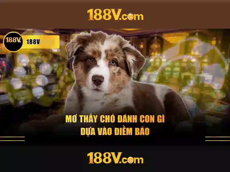 Ket luan ve viec hieu ve 188v