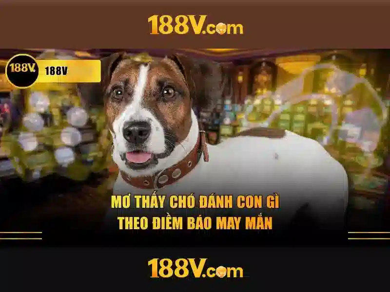 Ứng dụng và giới hạn an toàn của 188V