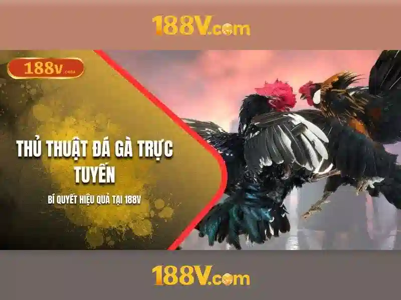 Khái niệm và hành trình 188v