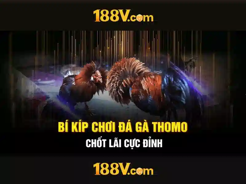 Âm thanh của 188v và cảm xúc người dùng