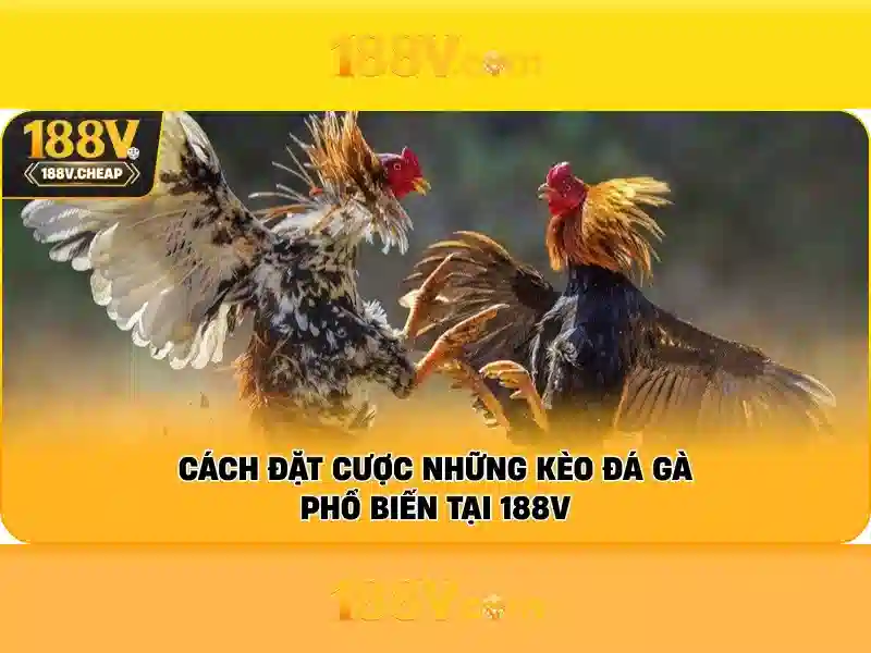 188v – một khái niệm thú vị trong công nghệ hiện đại