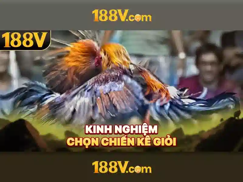 Nguồn gốc của 188v