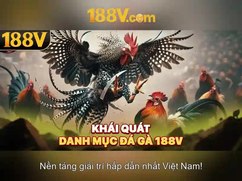 Khám phá 188v