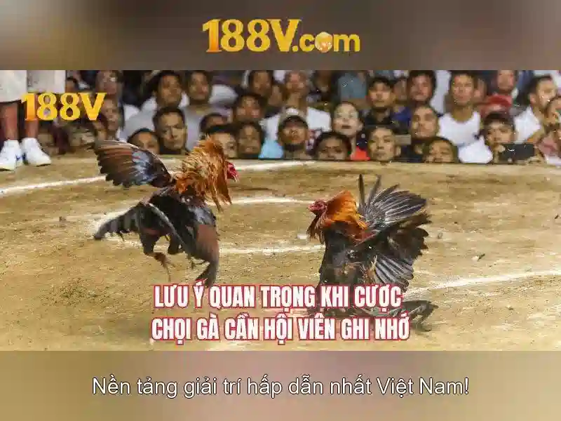 Độ an toàn khi làm việc với điện áp cao