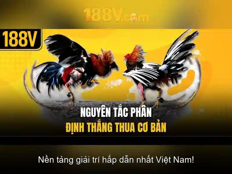 gioi-thieu-188v.png