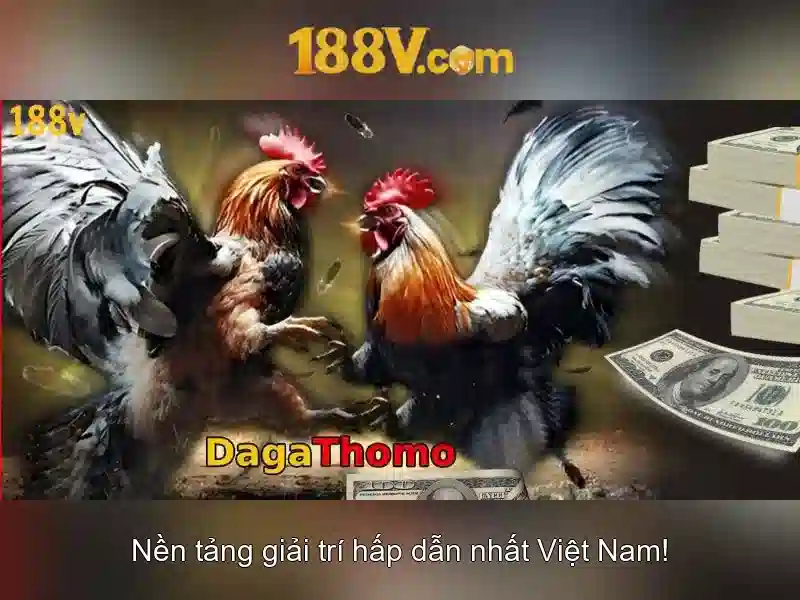 Con số và chữ v