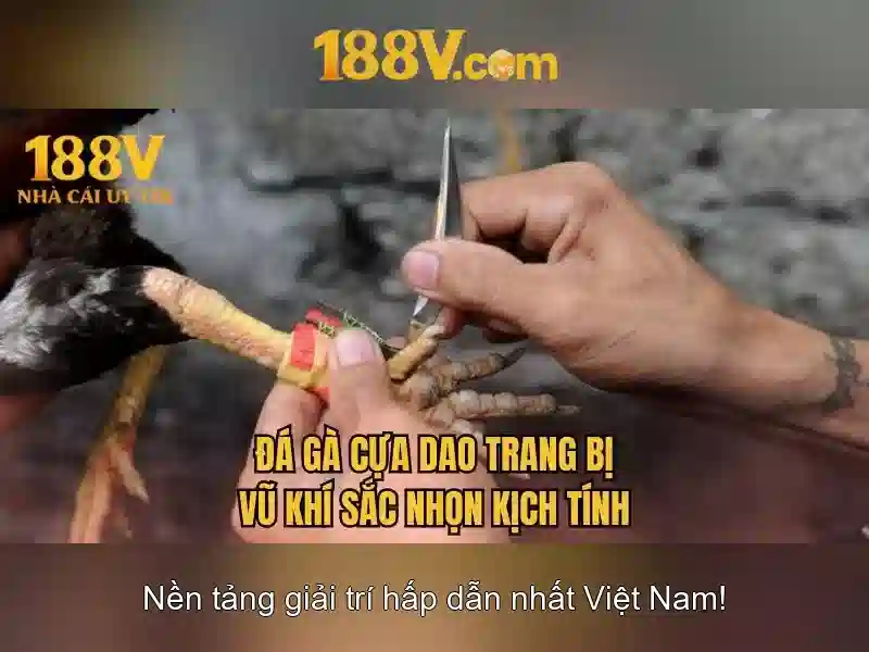 Khía cạnh công nghệ