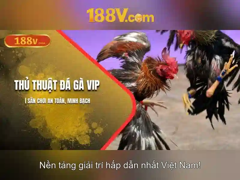 Ứng dụng thực tế