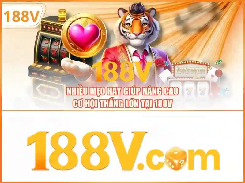 Trích dẫn và kết luận